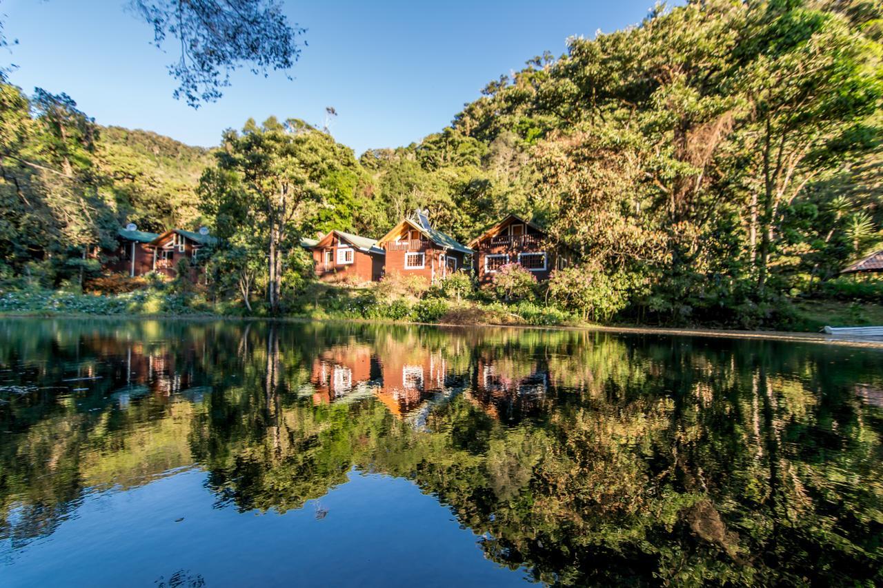Suenos Del Bosque Lodge San Gerardo de Dota Exterior photo